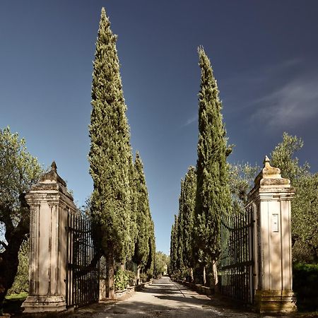 Almeira 4Acre Estate, For Unparalleled Seclusion, By Thinkvilla Ζάκυνθος Πόλη Εξωτερικό φωτογραφία